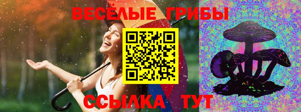 Клин  Псилоцибиновые грибы GOLDEN TEACHER  Вход с VPN 