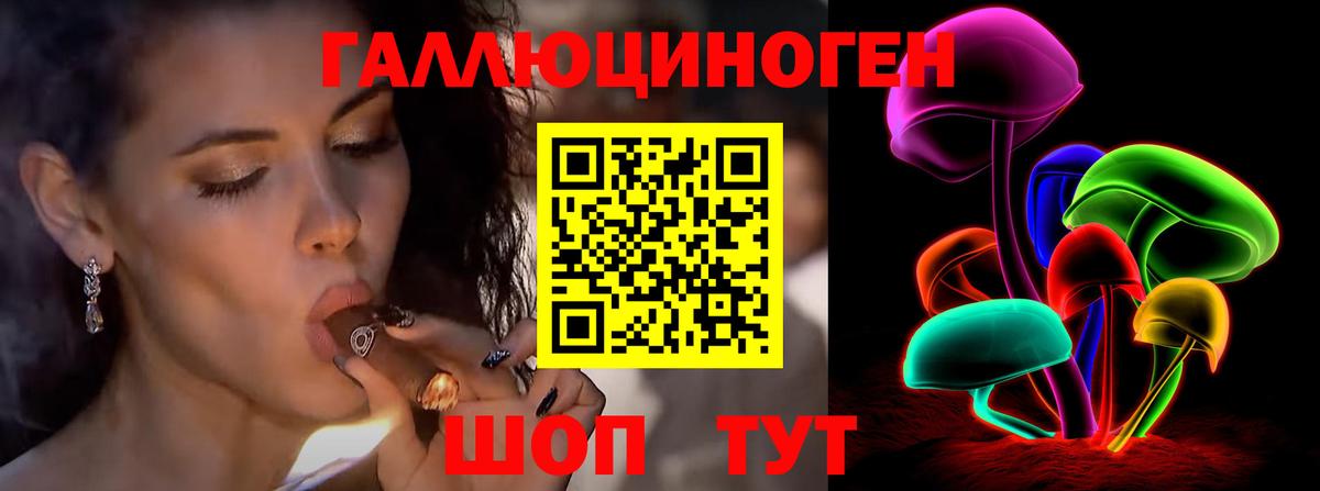 Псилоцибиновые грибы Psilocybe Клин